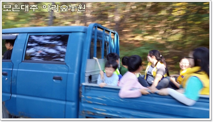 보은대추아리숲농원 이미지