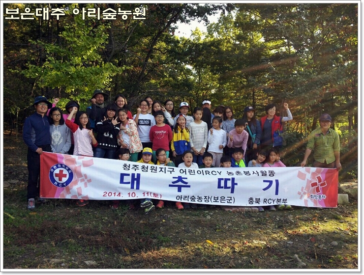 보은대추아리숲농원 이미지