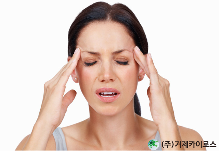 세기정보 이미지