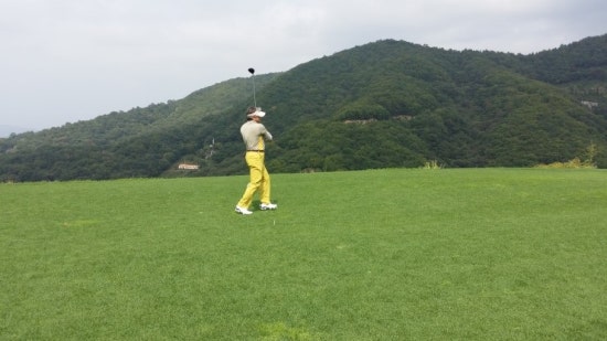 푸른솔전기 이미지