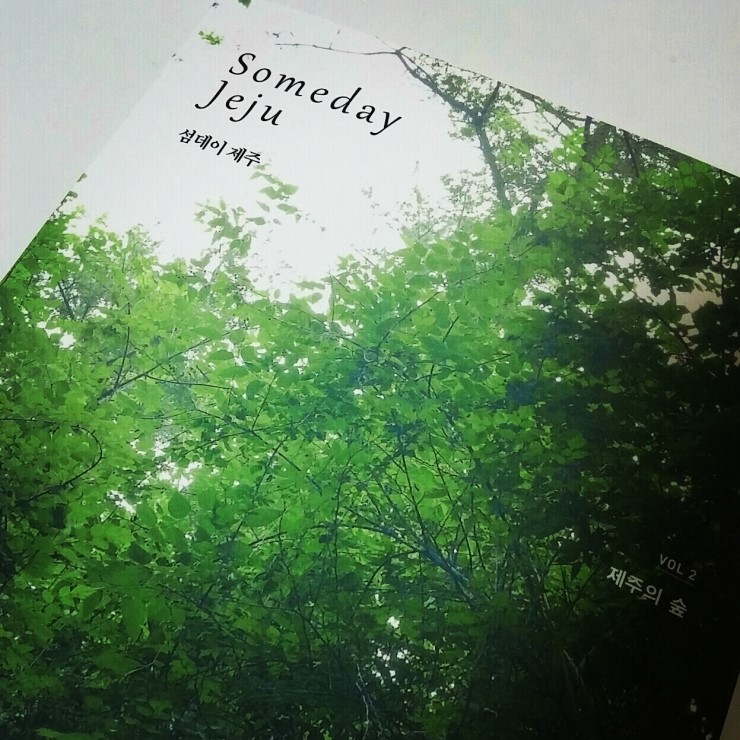 섬데이제주 이미지