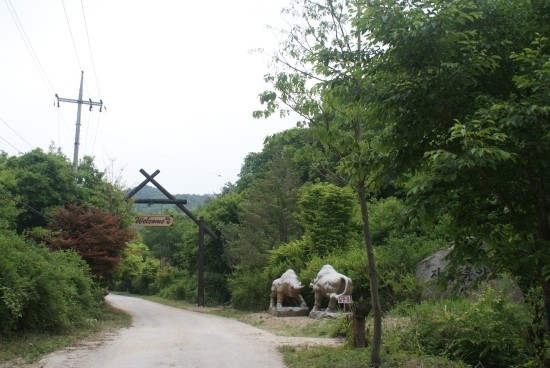 횡성자연휴양림 이미지