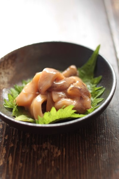 백마상회 이미지