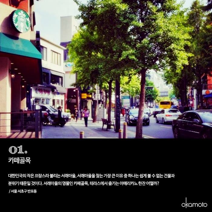 잘생긴물고기 이미지