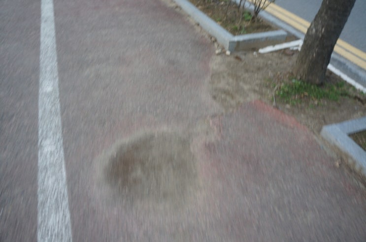 안데스(Andes) 이미지