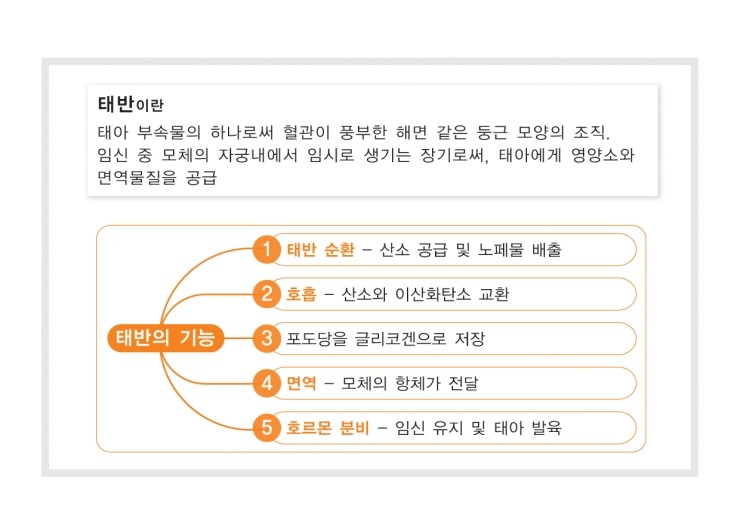 필그린인카운터 이미지