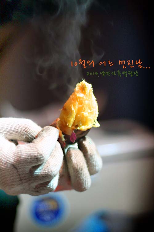 낭만캠핑장 이미지