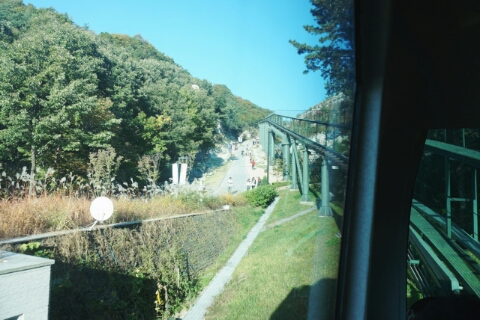 애코카랜드 이미지
