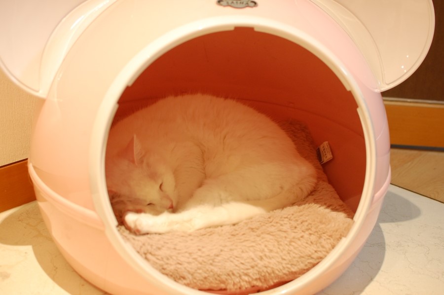 도큐하우스 이미지