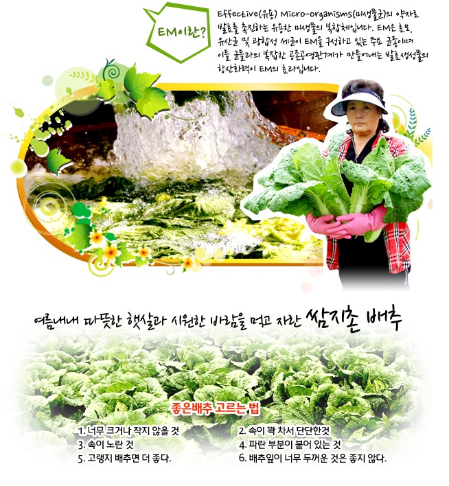 풍산마을영농조합 이미지
