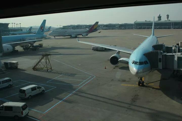 피케이항공 이미지