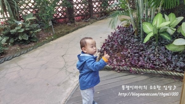 아산신그린 이미지