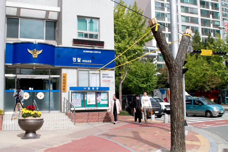 카피카피청사 이미지