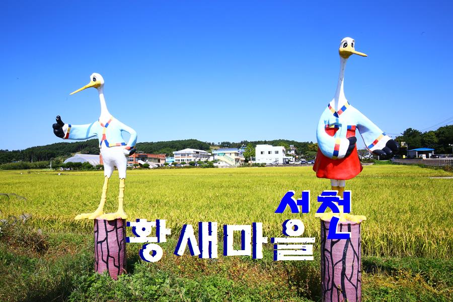 동죽황새마을 이미지
