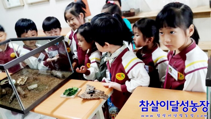 안드레아유치원 이미지