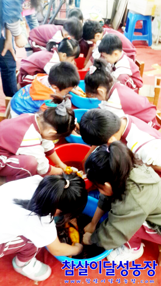 안드레아유치원 이미지