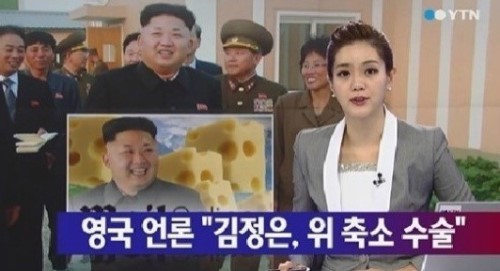치즈씨 이미지