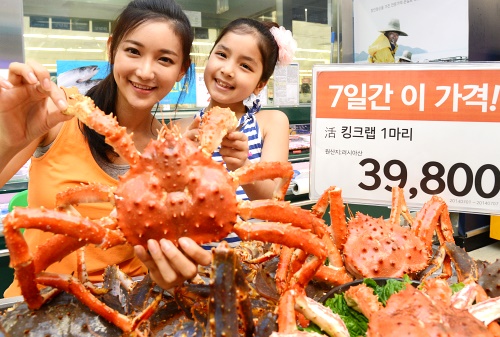 에브리킹 이미지