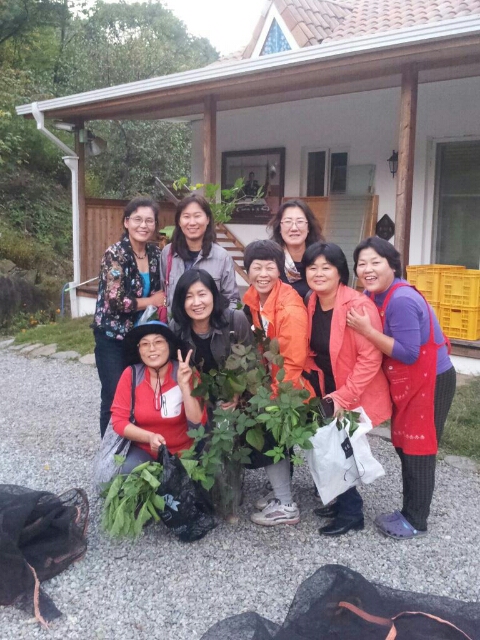 늘솔길펜션 이미지