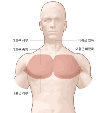타워짐피트니스헬스 이미지