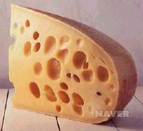 치즈씨 이미지