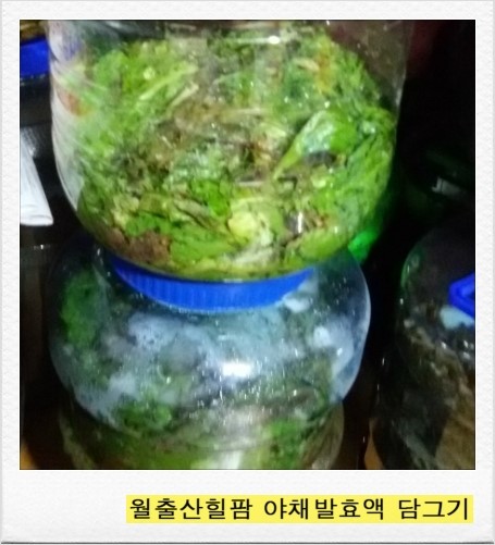 월출산힐링팜 이미지