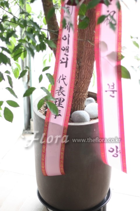 청학꽃집 이미지