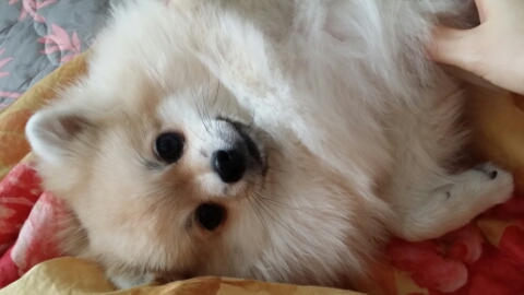 뚜뚜빵빵 이미지