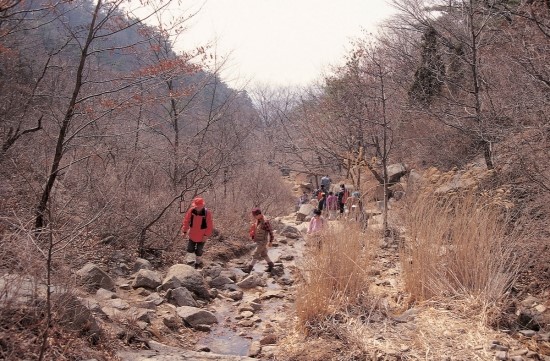 황한의원 이미지
