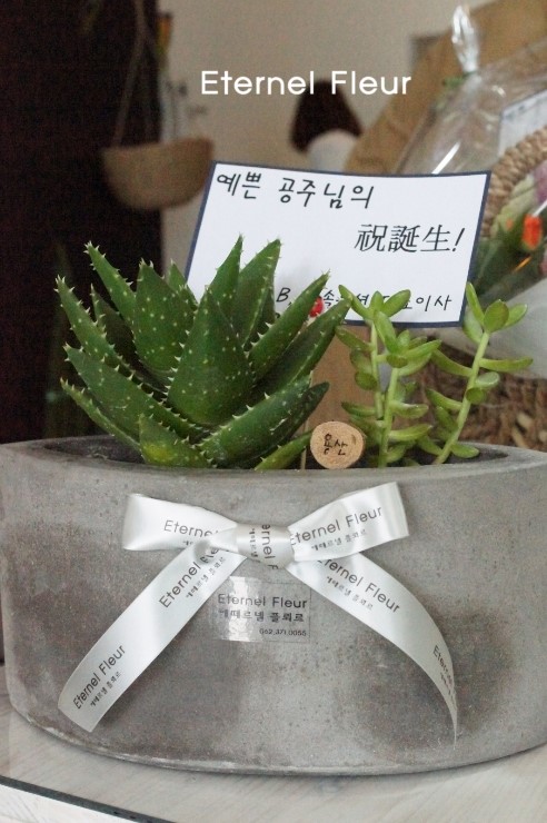 에떼르넬 캔들 이미지