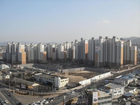 청소쟁이 이미지