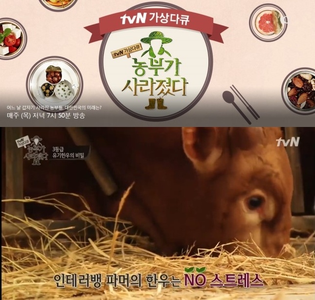 (주)선농생활 이미지