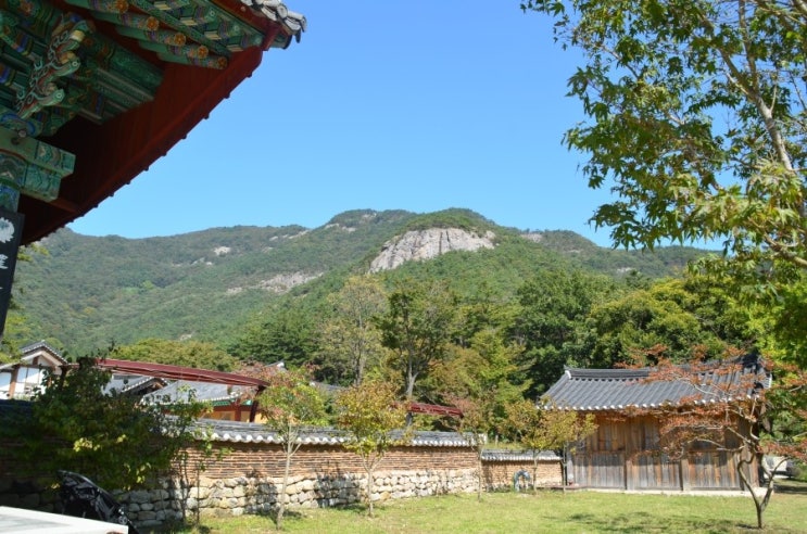 꽃비나리 이미지