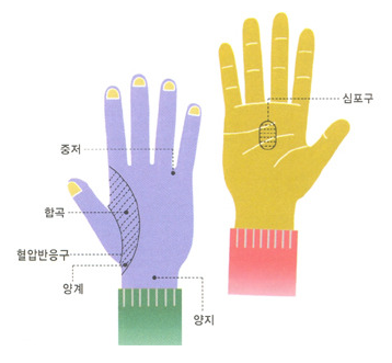 손지압요법! 손지압 효능 고혈압에 좋은 지압법!! : 네이버 블로그