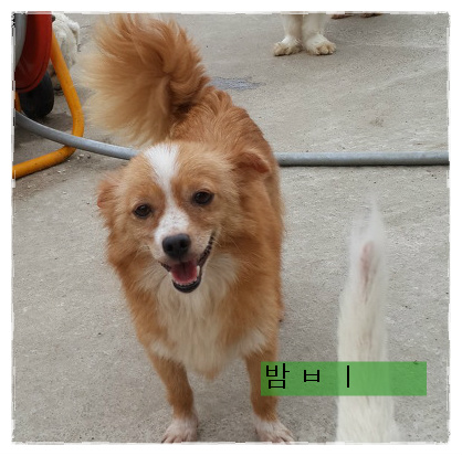 달콩커피 이미지