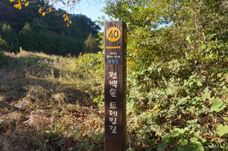 라온글램핑 이미지