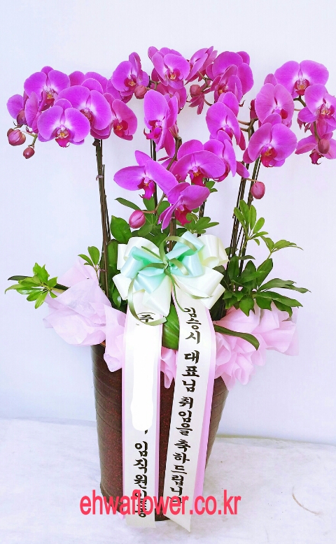 1004꽃집 이미지