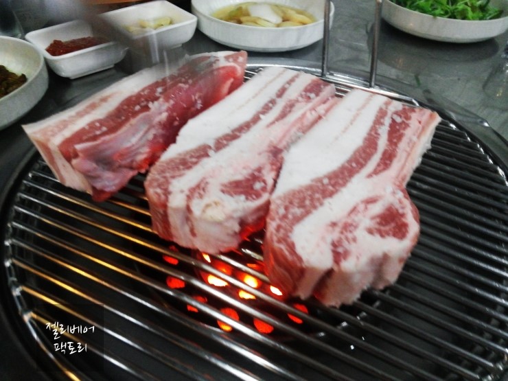 탐라도니 이미지