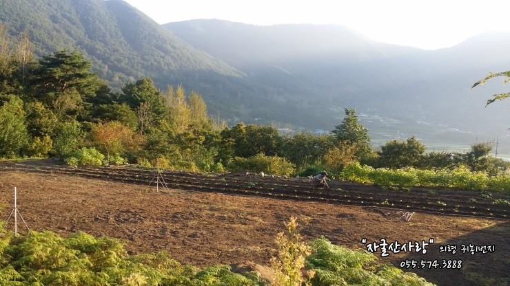 자굴산사랑펜션 이미지