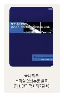 대향 이미지