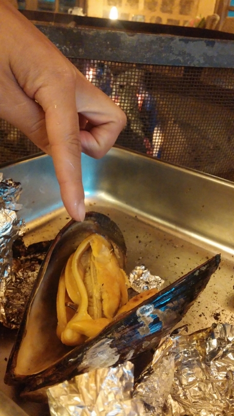 참나무조개구이 이미지