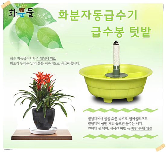 화분들닷컴 이미지