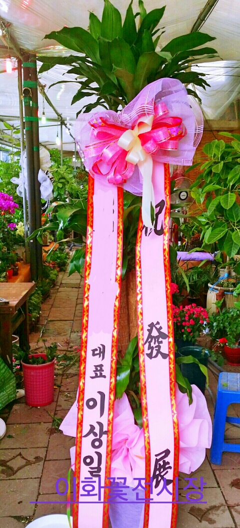 1004꽃집 이미지