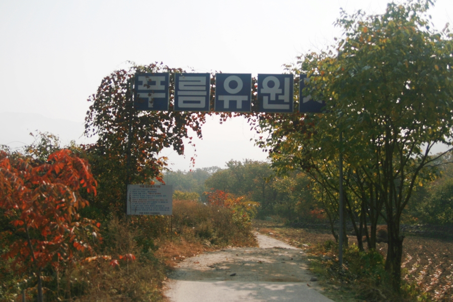 삼일카센타 이미지
