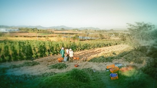 한나절 반나절 인력 이미지