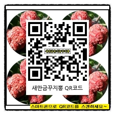 새만금유기농꾸지뽕 이미지