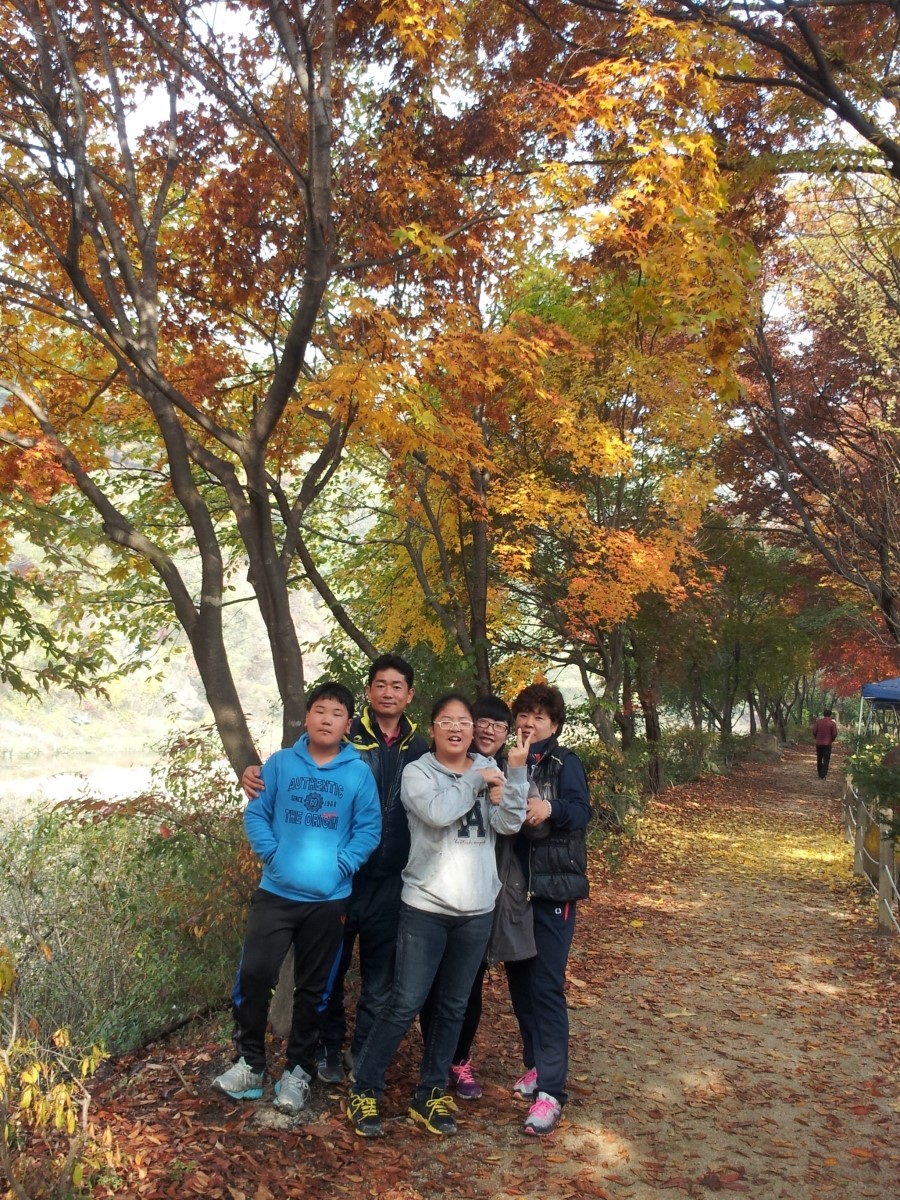 현대자동차행신가라뫼점 이미지