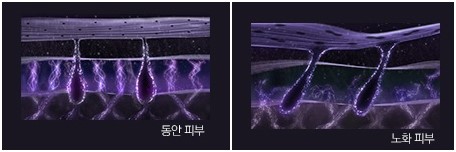 헤라PC 이미지