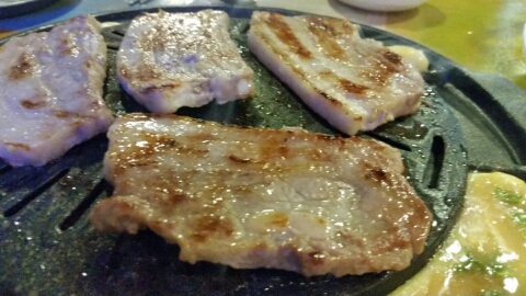 선운갈매기 이미지