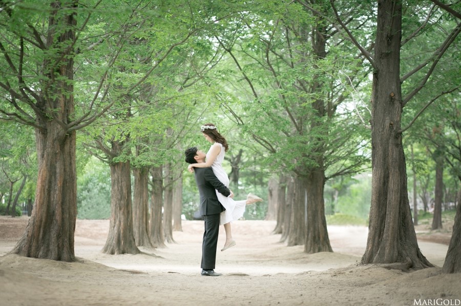 메리골드스튜디오 이미지